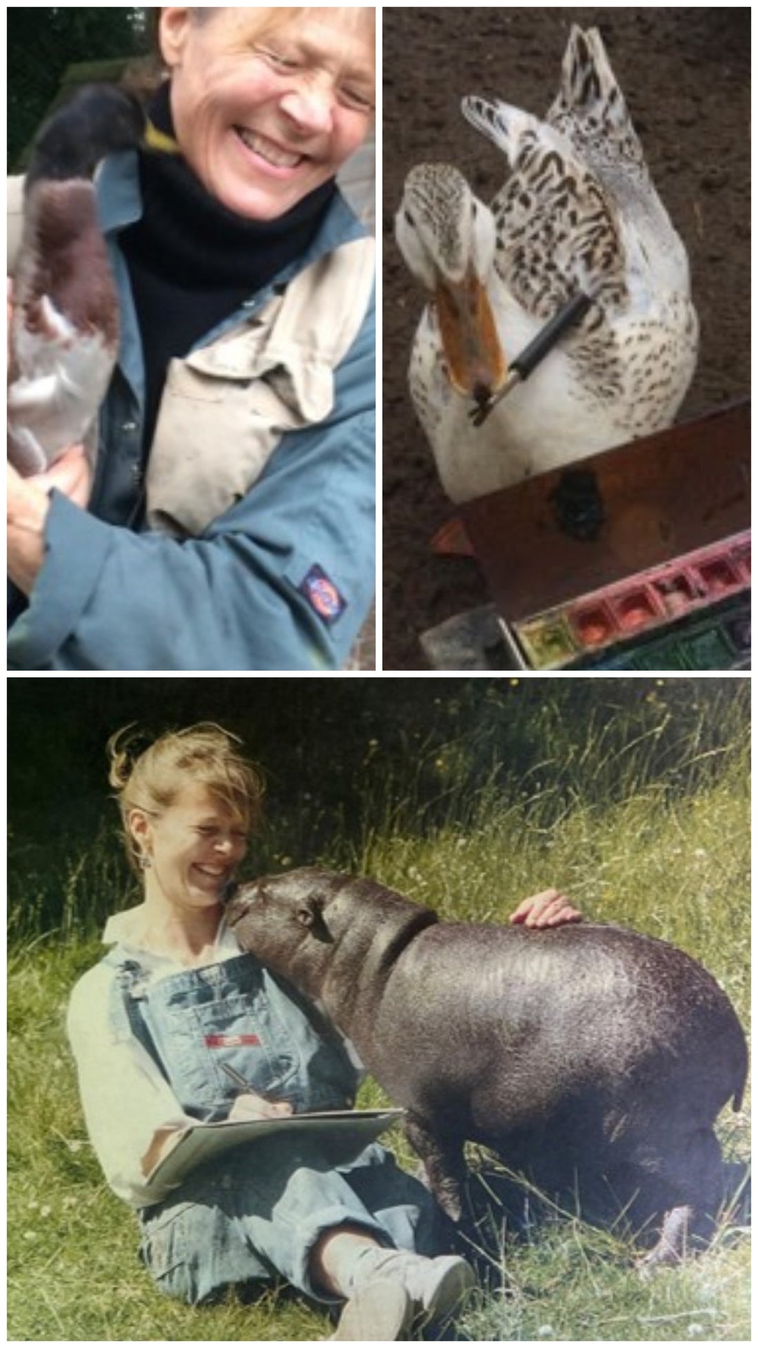Meet the Artist, Frances Richardson