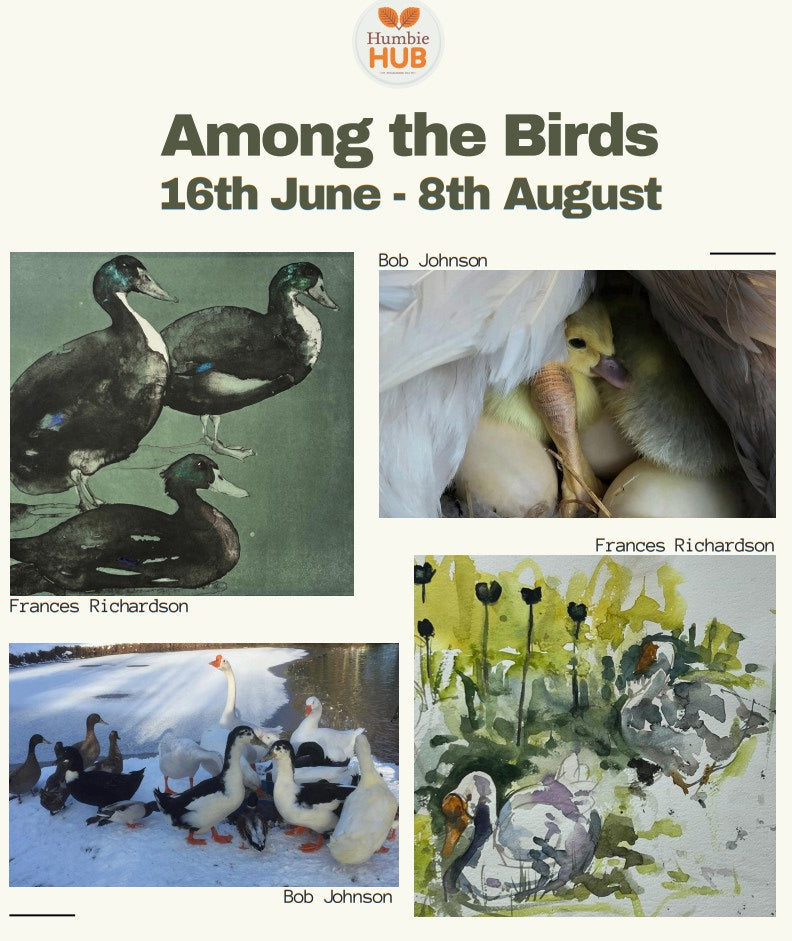 New art exhibition, "Among the Birds"